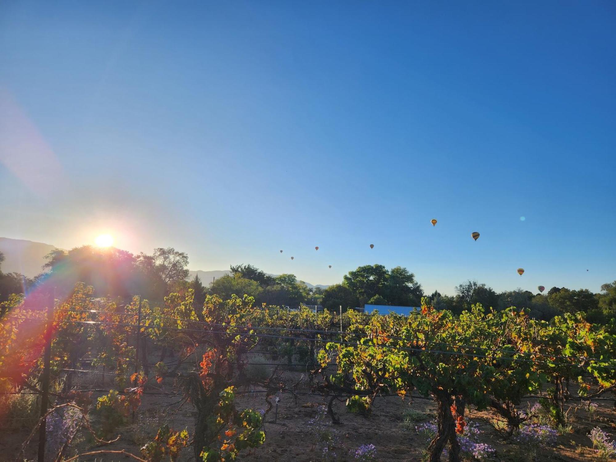 Red Mountain Manor Vineyard And Guesthouse Rio Rancho Luaran gambar